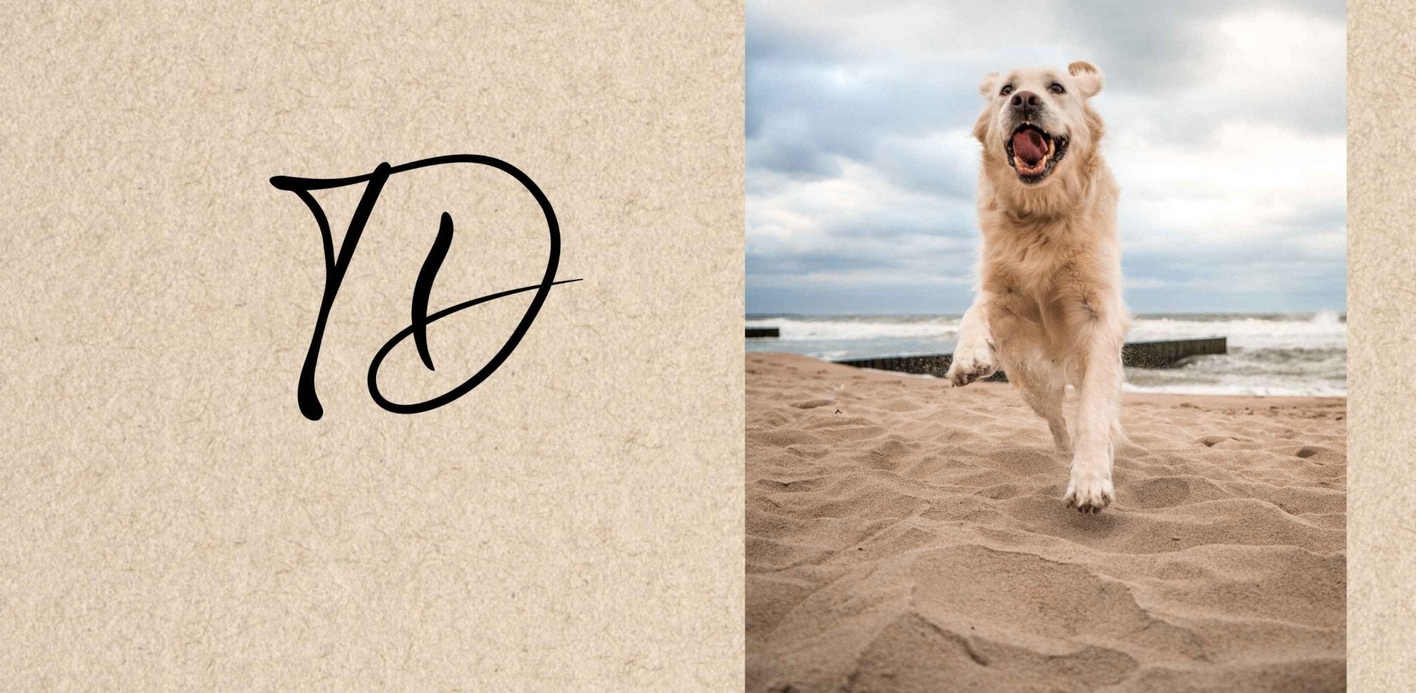 6 destinations de vacances dog friendly - TRUFFE DÉLICE