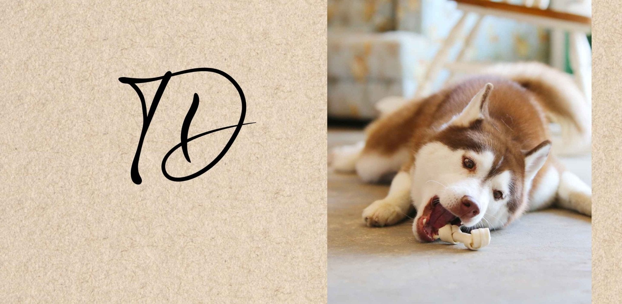 Flop 3 des pires friandises pour votre chien - TRUFFE DÉLICE