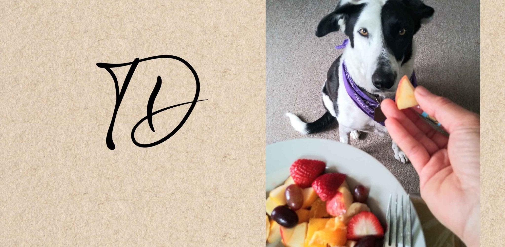 Top 5 des meilleurs fruits pour chiens - TRUFFE DÉLICE