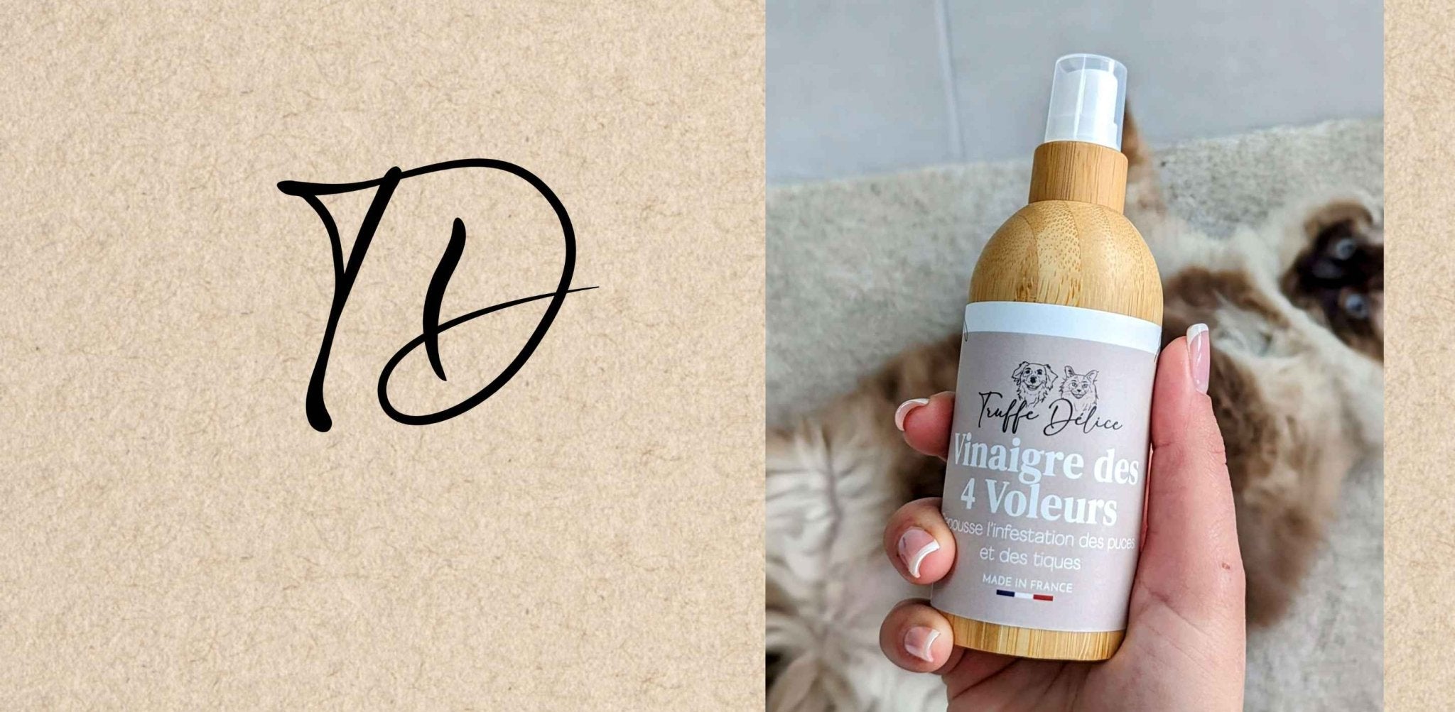 Vinaigre des 4 voleurs : un bouclier naturel contre les parasites - TRUFFE DÉLICE