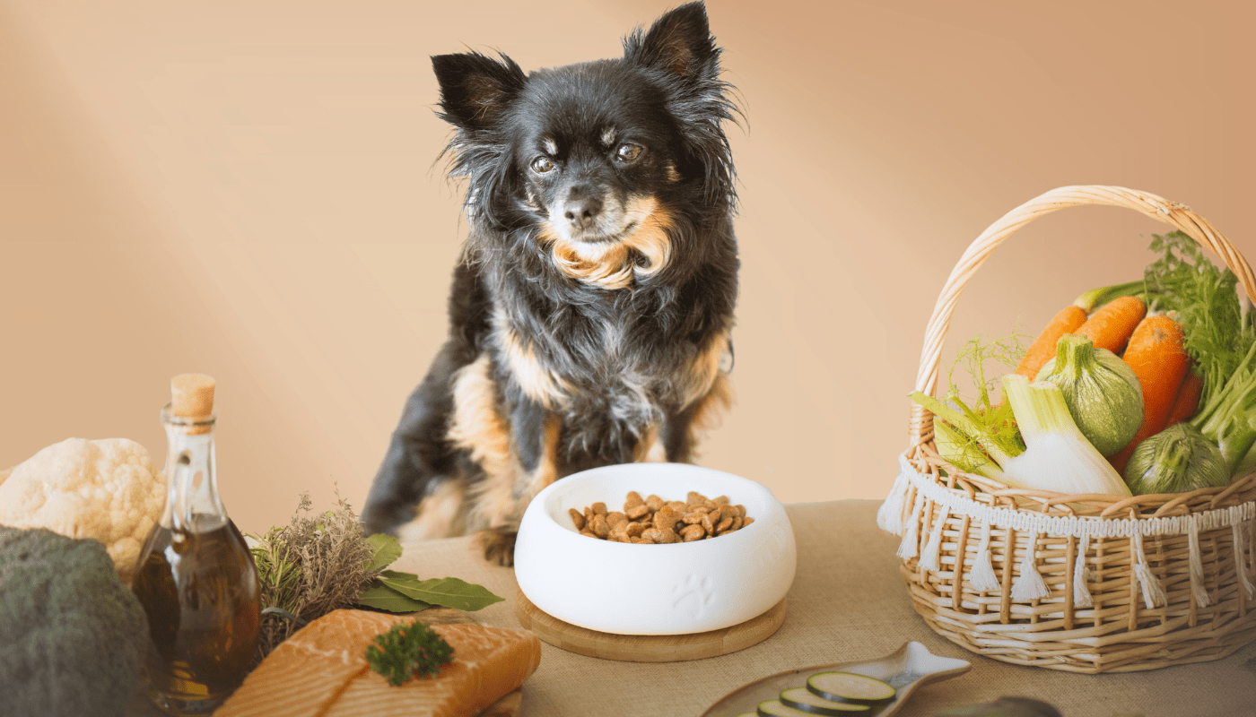 Croquettes pour chiens senior - TRUFFE DÉLICE