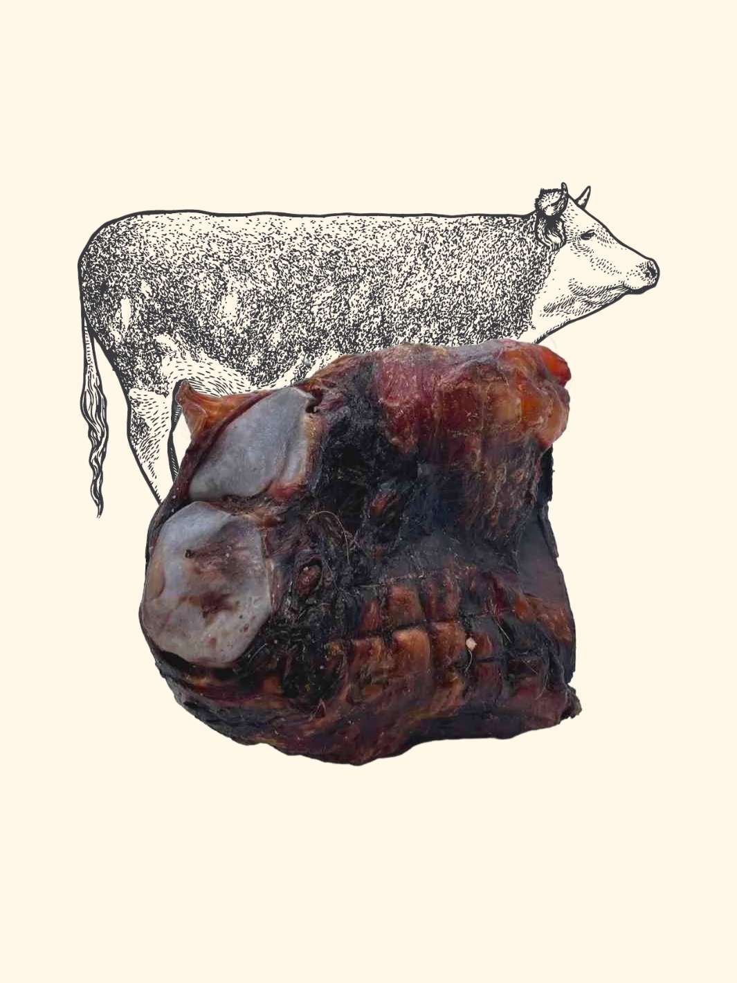 Genou de bœuf