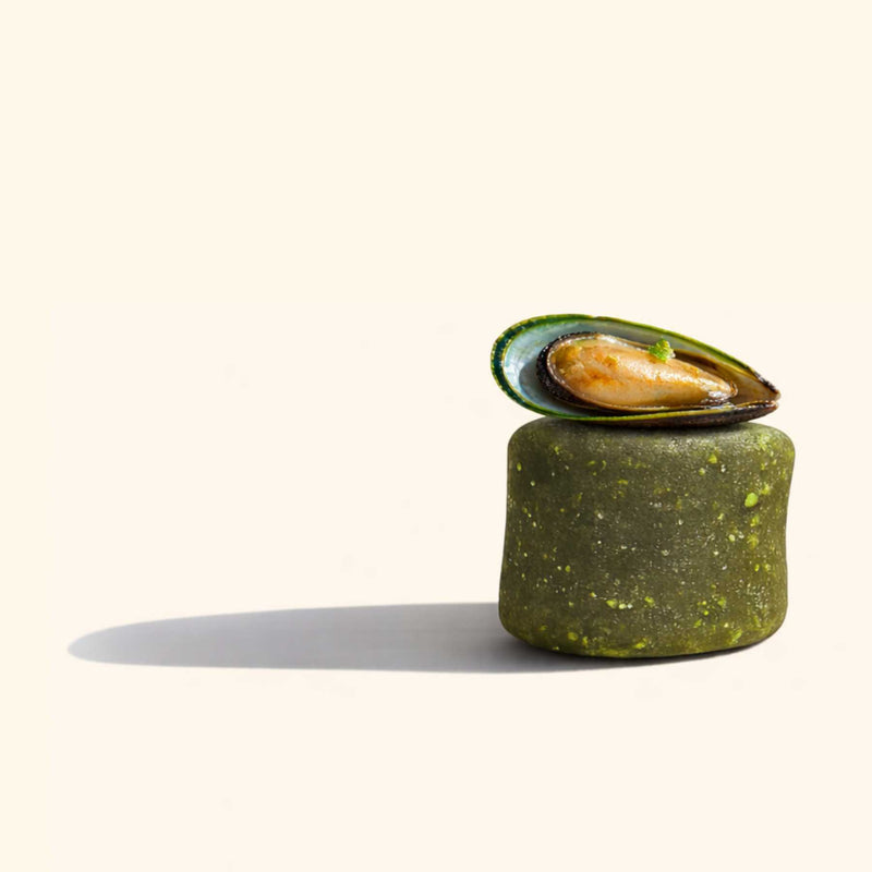 Moule verte chien