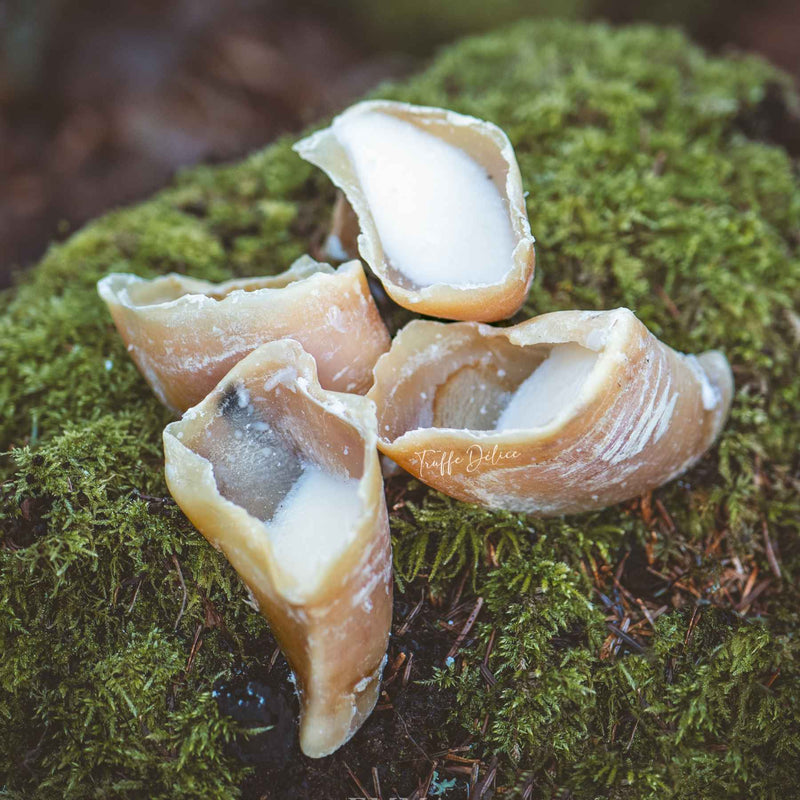 Sabot de veau garni