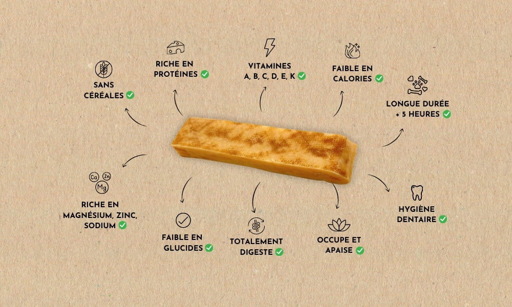 bienfaits du fromage de yak chien