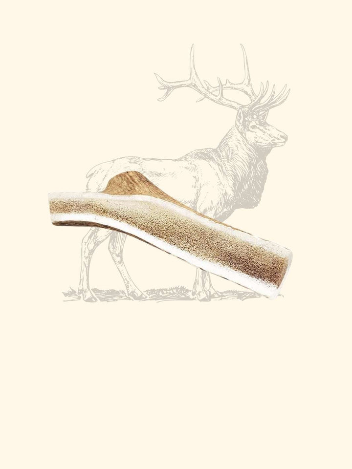 Bois de cerf tranché chien - friandise_naturelle_pour_chien - TRUFFE DÉLICE
