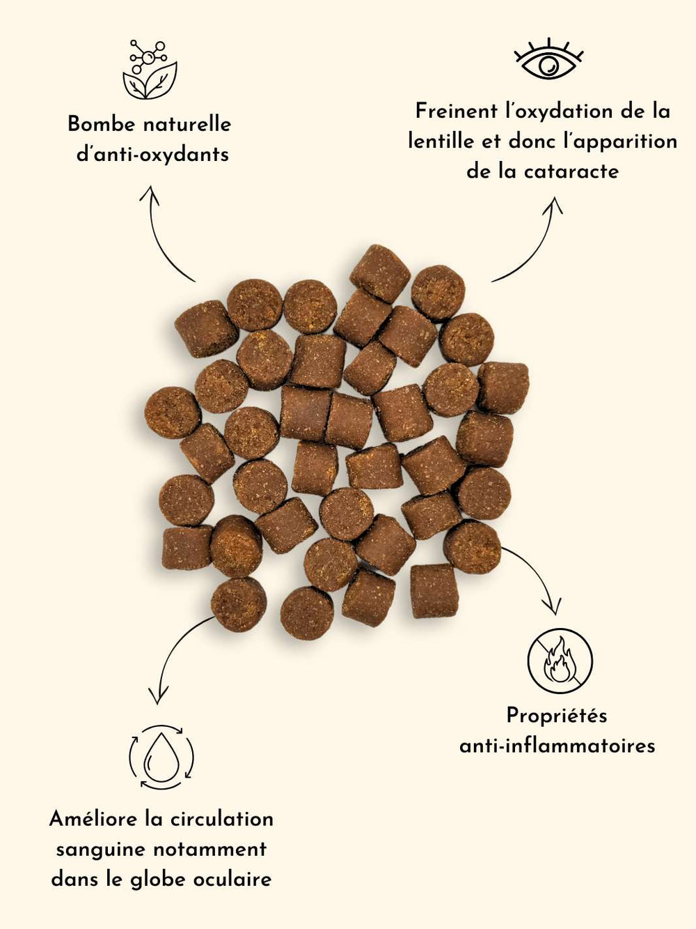 Complément bonne vue - friandise_naturelle_pour_chien - TRUFFE DÉLICE