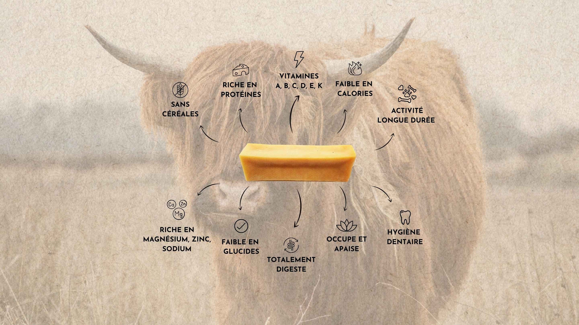 Fromage de yak pour chien