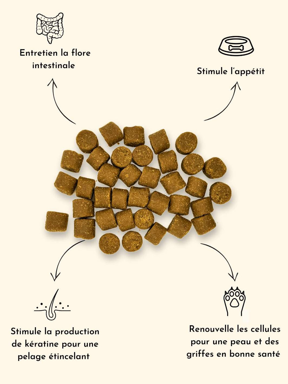 Levure de bière chien - friandise_naturelle_pour_chien - TRUFFE DÉLICE