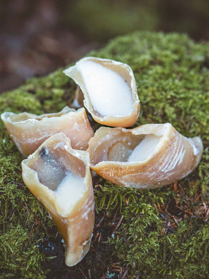 Sabot de veau garni - #friandise_naturelle_pour_chien# - TRUFFE DÉLICE