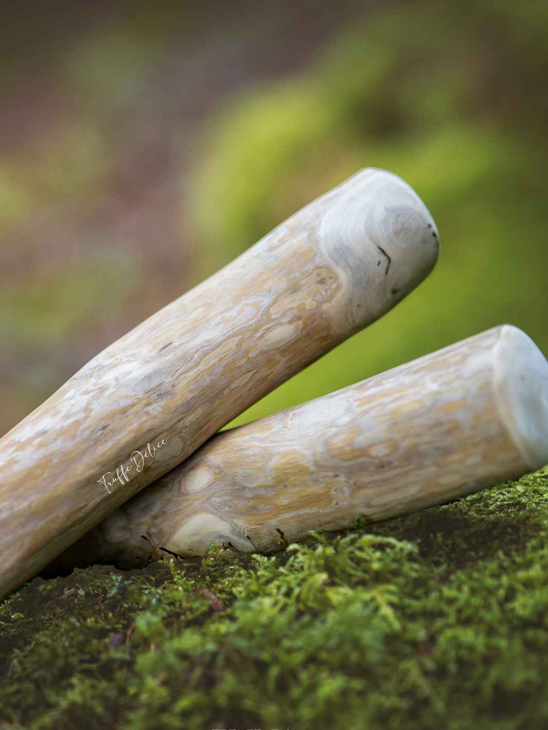 Bois de cafeier