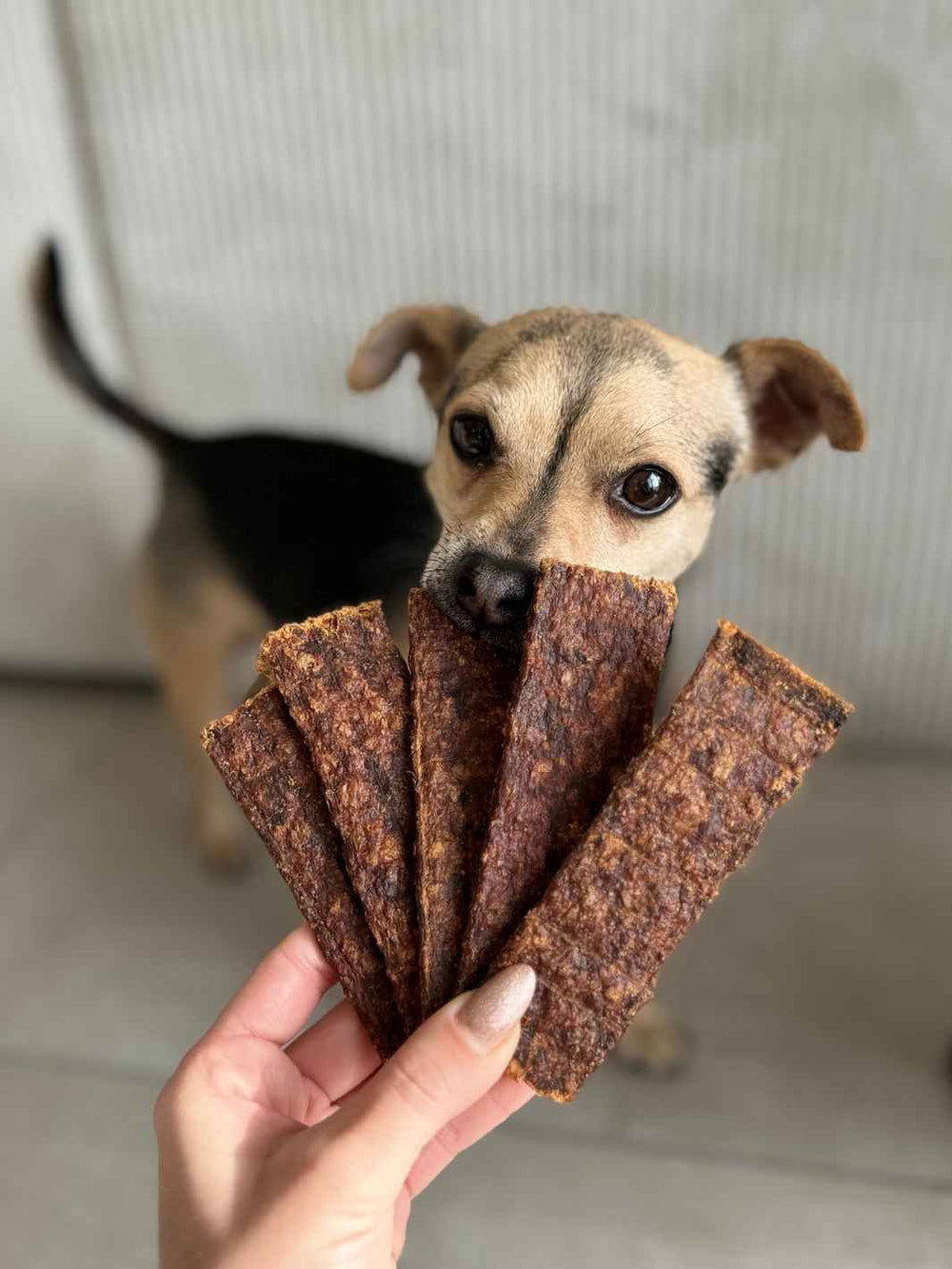 Lamelles de lapin - #friandise_naturelle_pour_chien# - Truffe delice