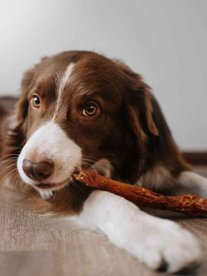 Peaux de bœuf - #friandise_naturelle_pour_chien# - Truffe delice