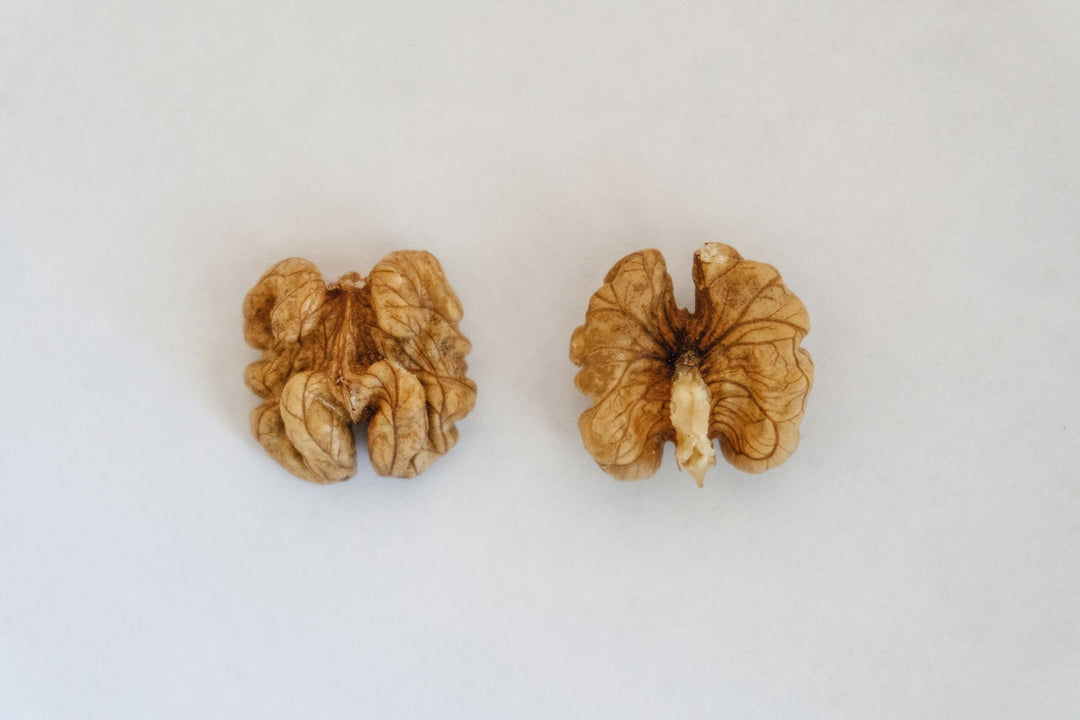 Peut-on donner des noix à un chien ? - TRUFFE DÉLICE