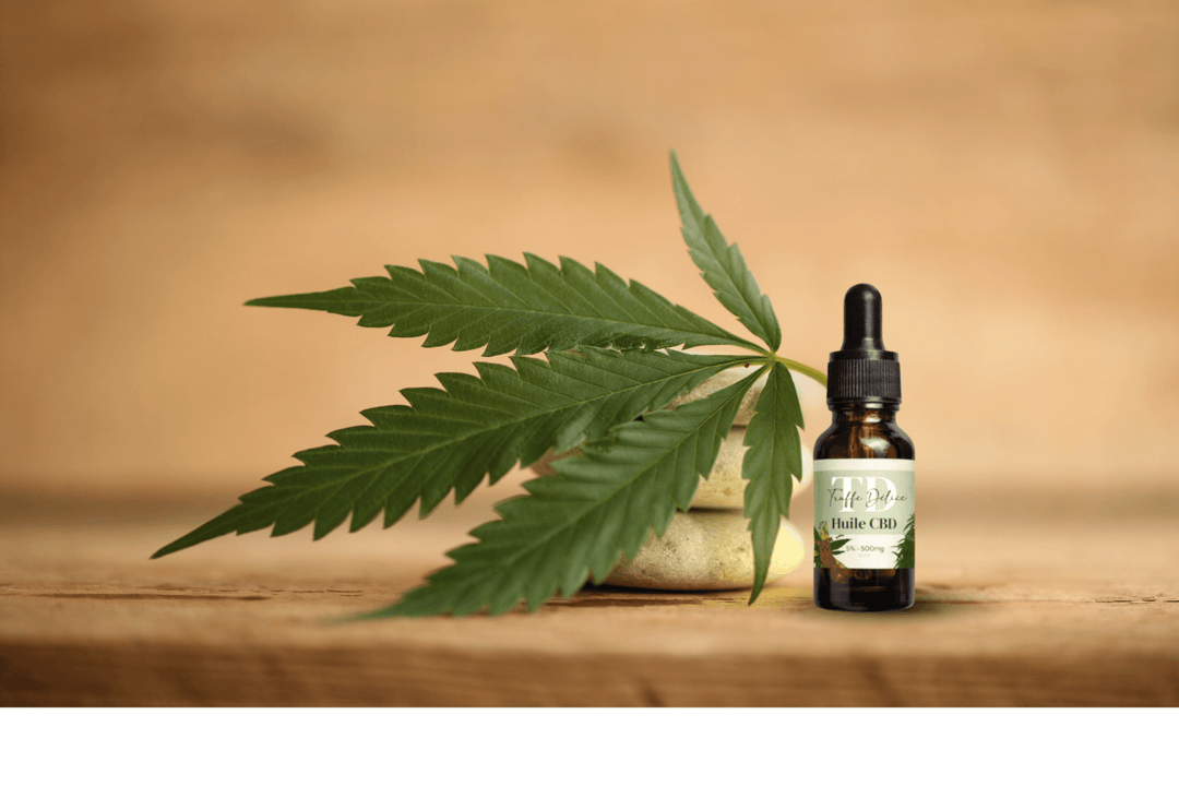 Anti stress chien - TRUFFE DÉLICE