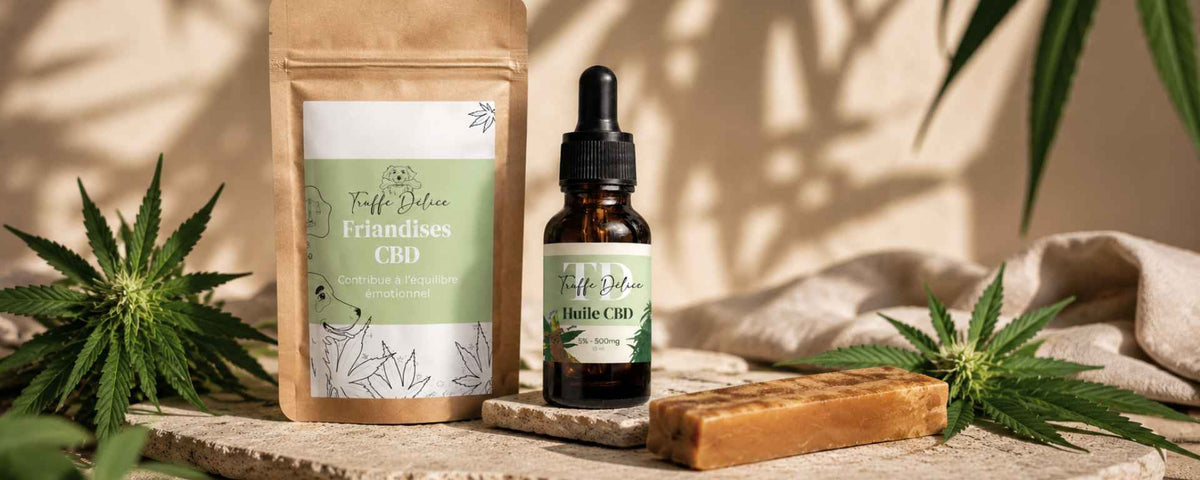 Anti stress chien - TRUFFE DÉLICE