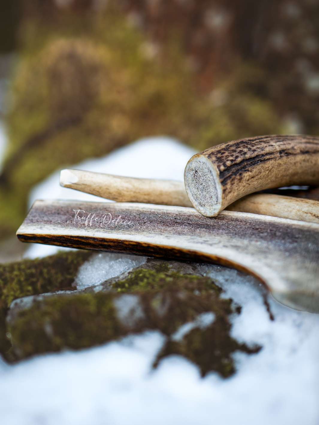 Bois de cerf pour chien - TRUFFE DÉLICE