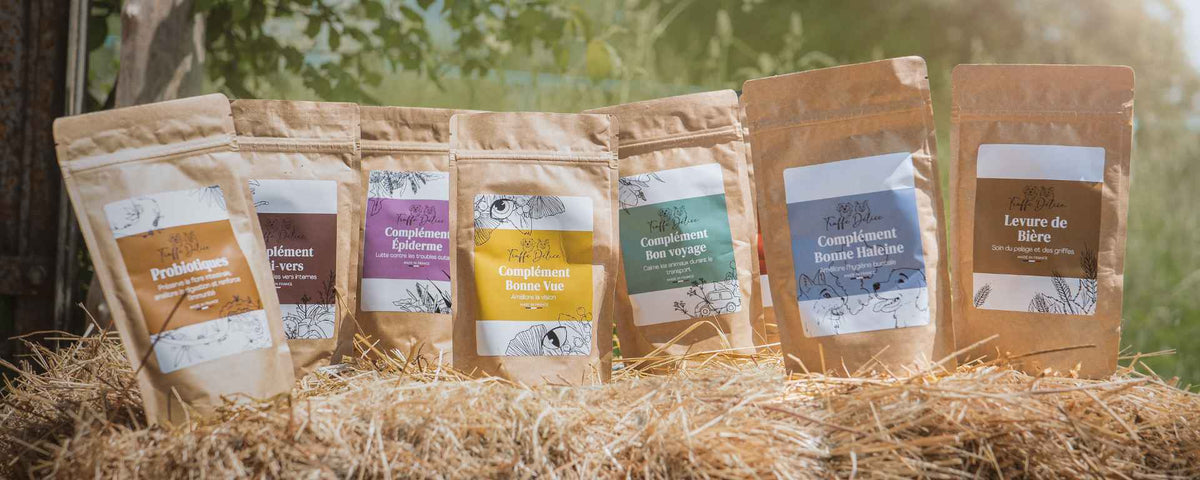 Complément alimentaire chien - TRUFFE DÉLICE