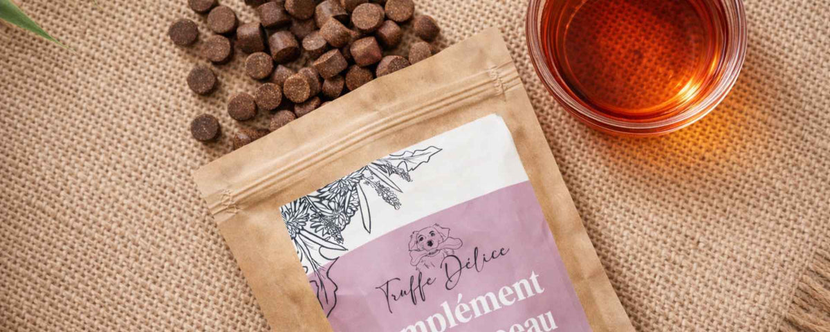 Complément alimentaire chien poil - TRUFFE DÉLICE