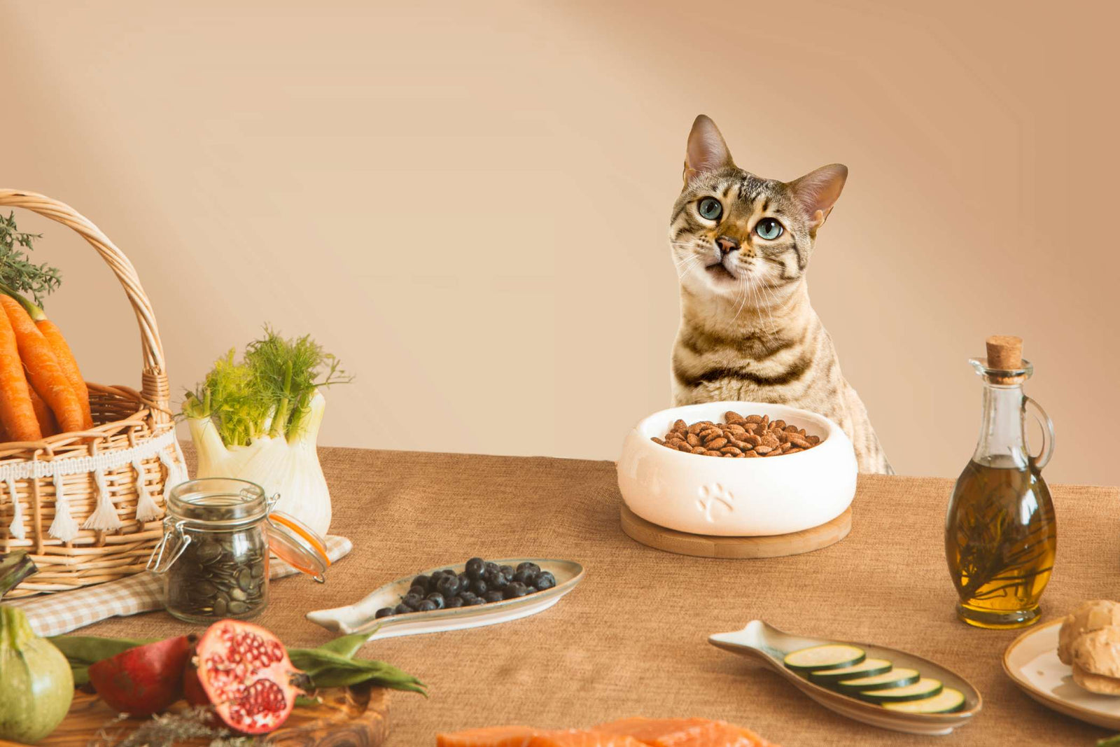 Croquettes chat - TRUFFE DÉLICE