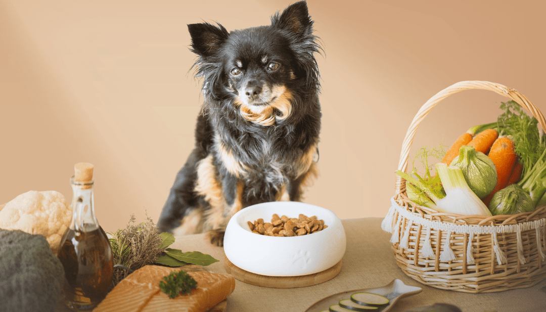 Croquettes pour chiens senior - TRUFFE DÉLICE