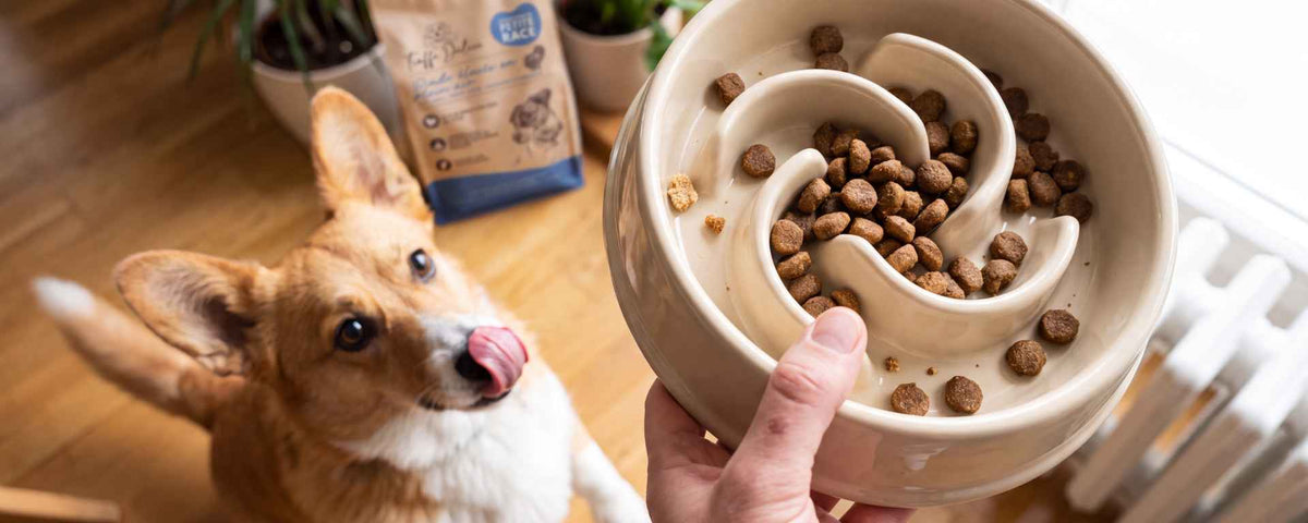 Croquettes pour petit chien - TRUFFE DÉLICE