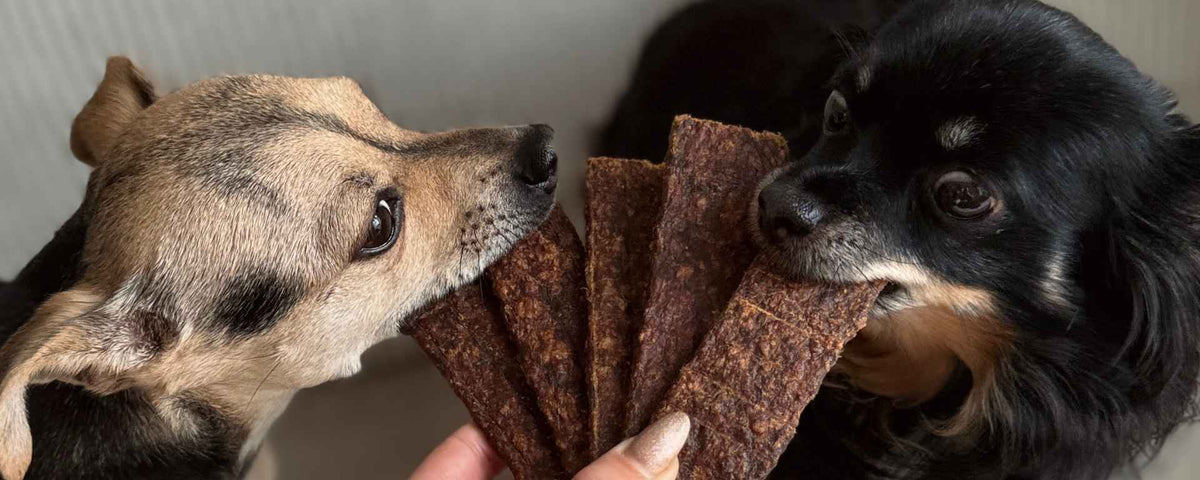 Lamelles dentaires naturelles pour chien - TRUFFE DÉLICE