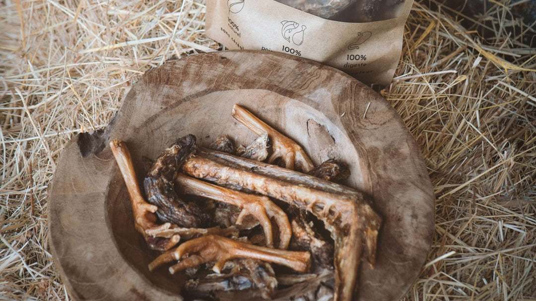 Mastication chiot 3 mois - TRUFFE DÉLICE