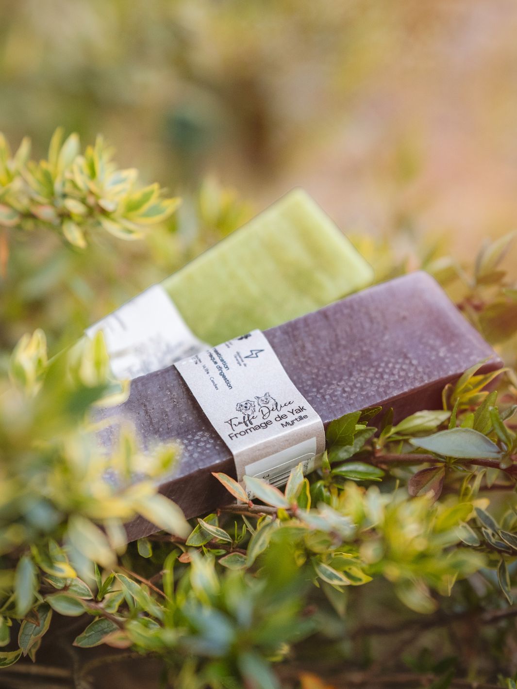 Mastication pure - TRUFFE DÉLICE