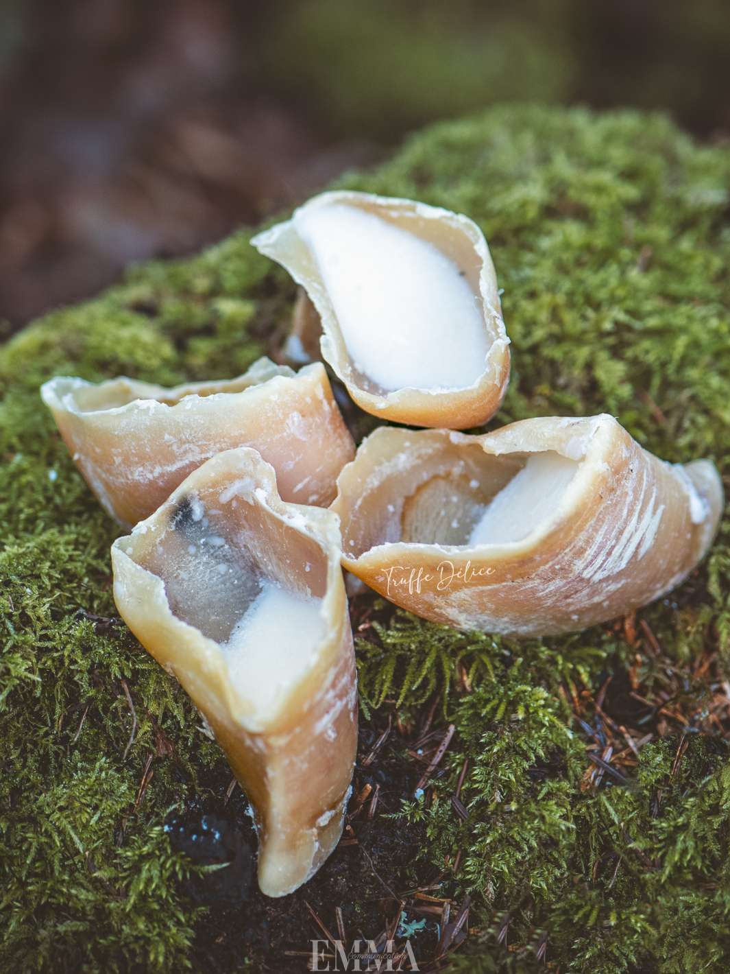 Sabots pour chien - TRUFFE DÉLICE