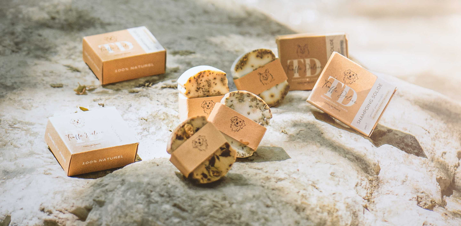 shampoing chien solide