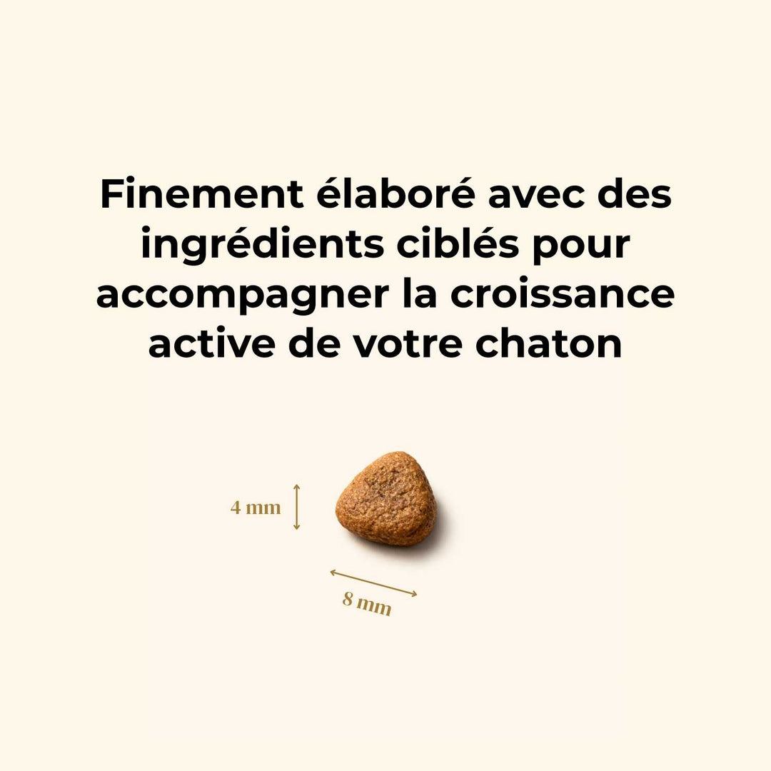 Croquettes chaton - Dinde et poulet