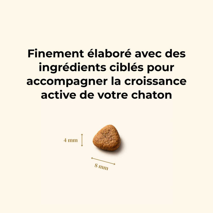 Croquettes chaton - Dinde et poulet