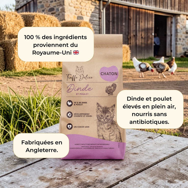 Croquettes chaton - Dinde et poulet