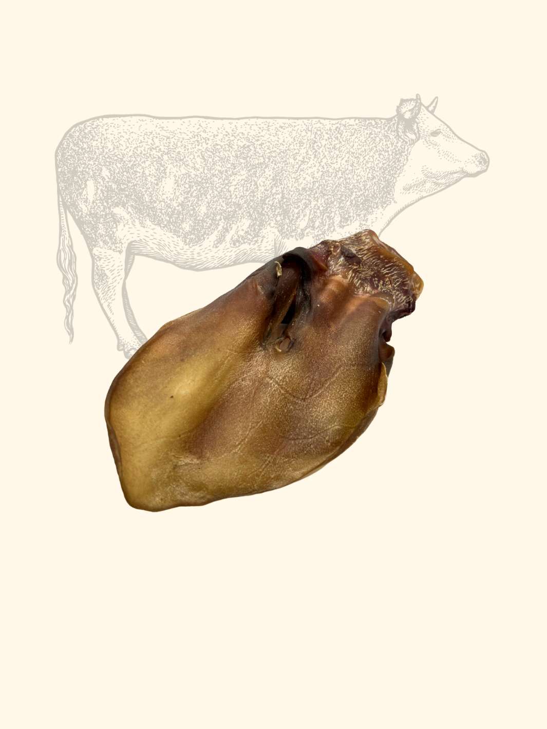 Oreilles de bœuf