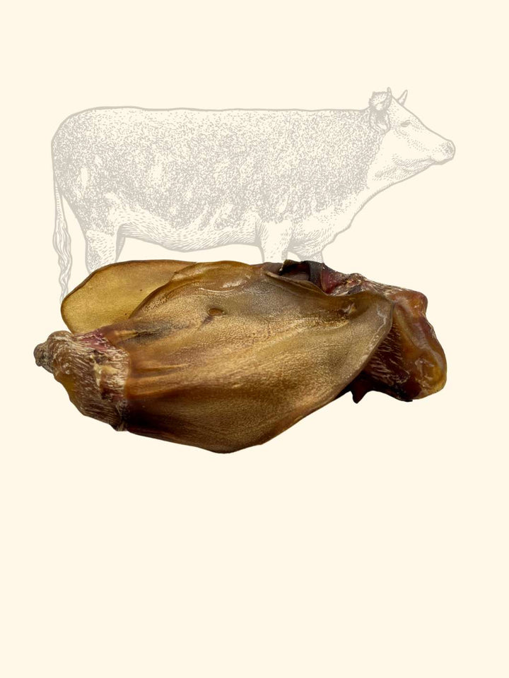 Oreilles de bœuf