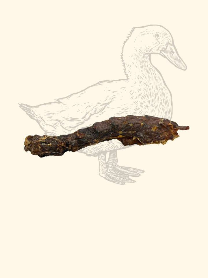 Cous de canard