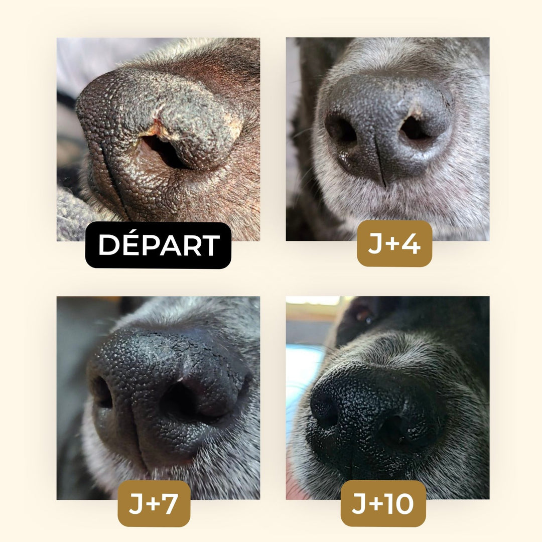 Baume truffe soyeuse