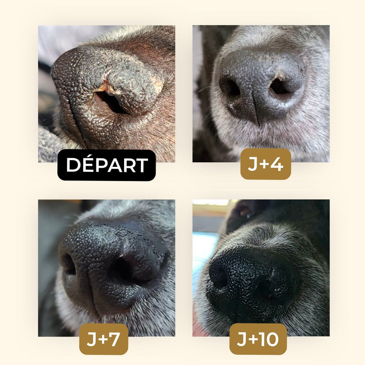 Baume truffe soyeuse