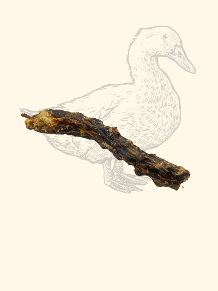 Cous de canard