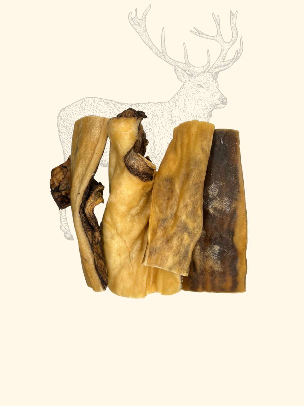Peaux de cerf