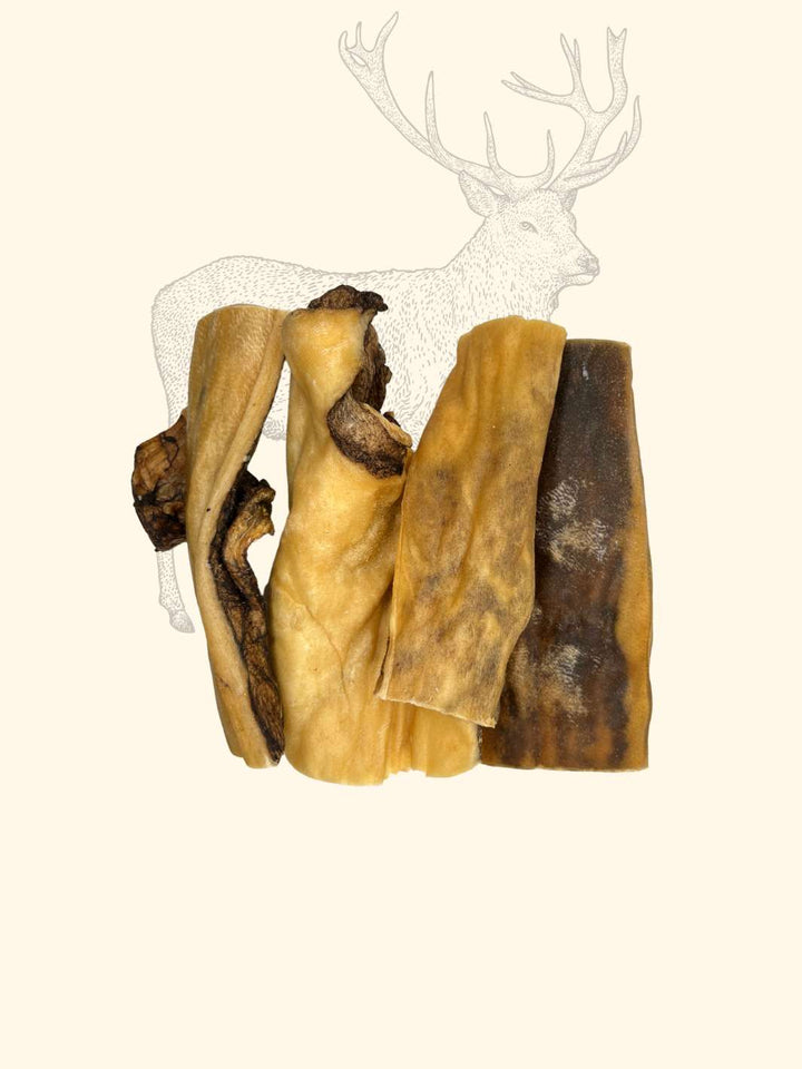 Peaux de cerf
