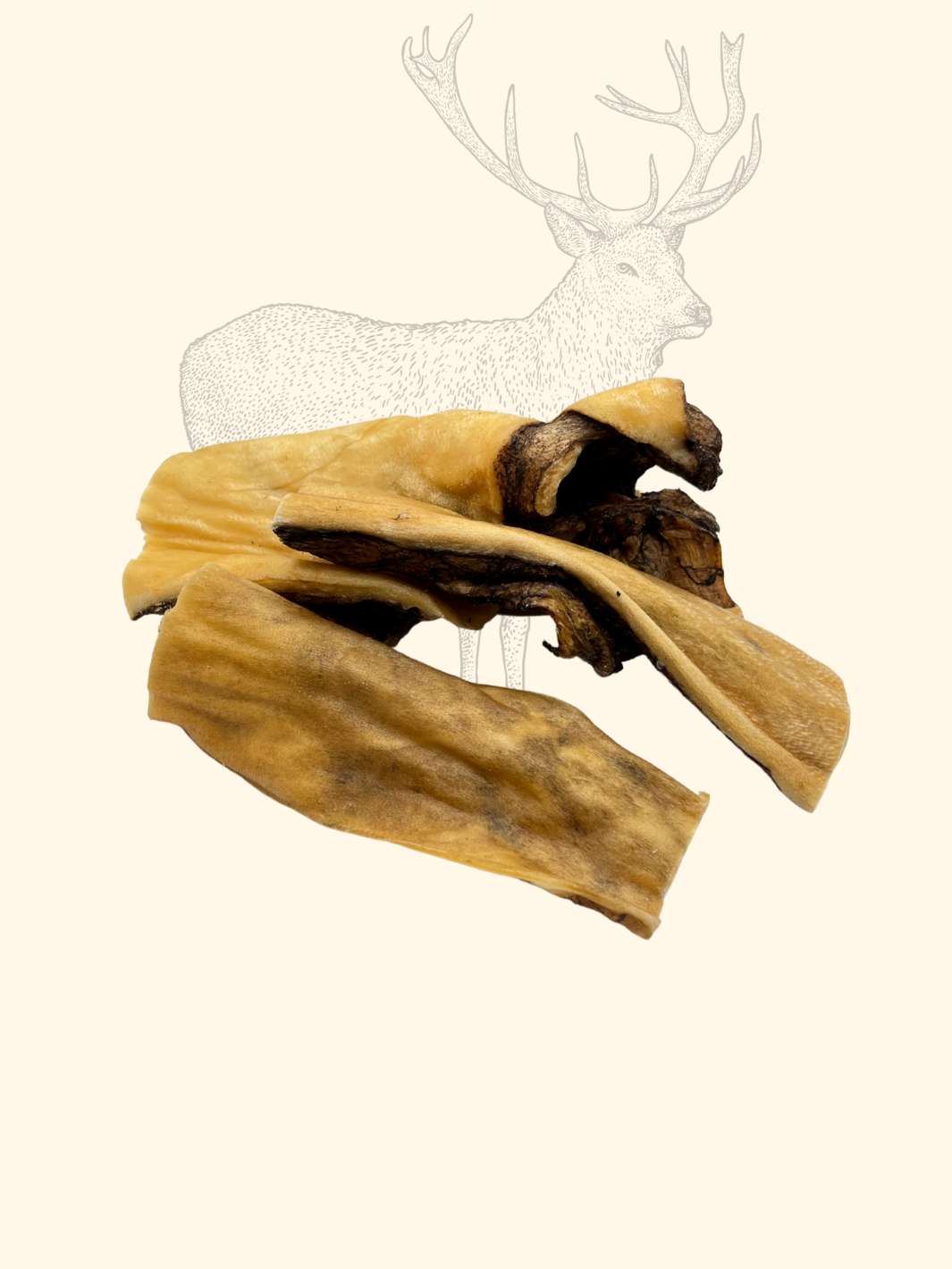 Peaux de cerf