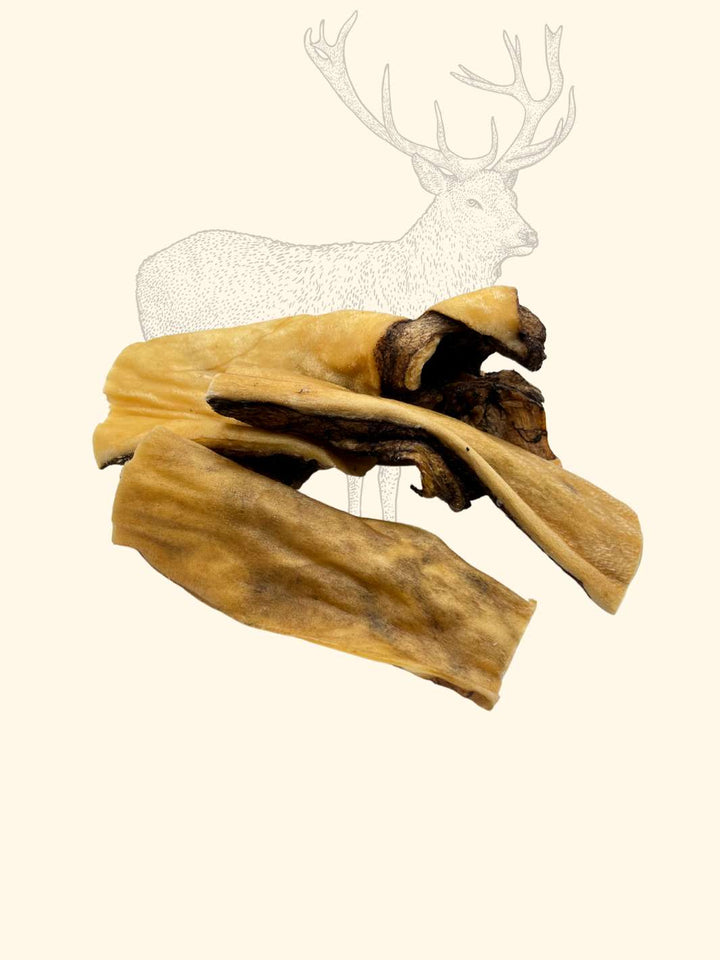 Peaux de cerf