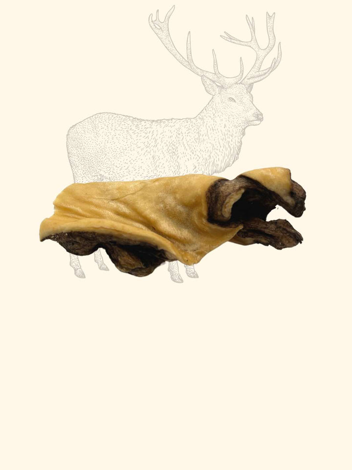 Peaux de cerf