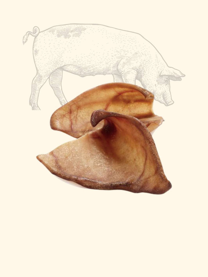 Oreilles de cochon