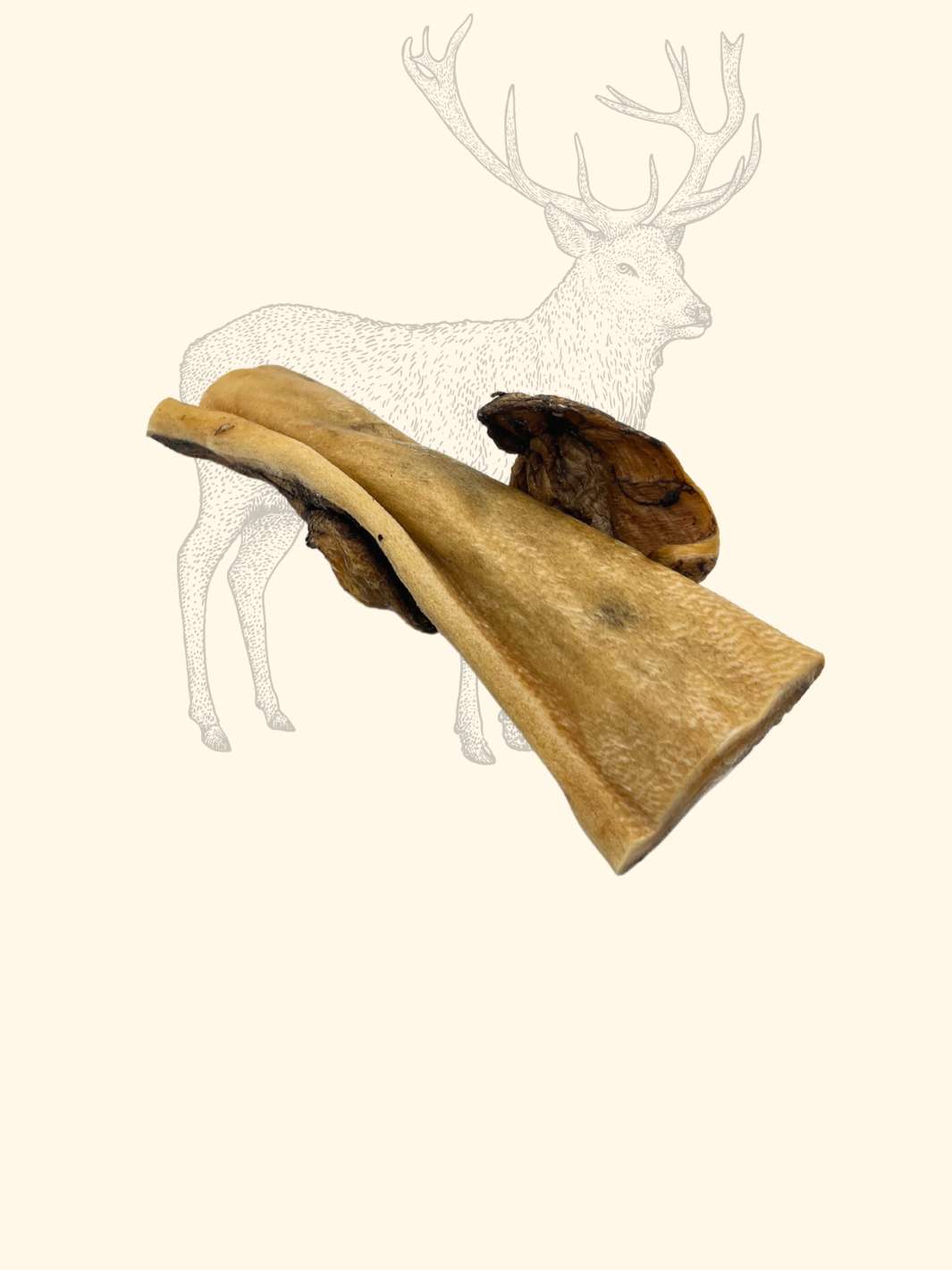 Peaux de cerf