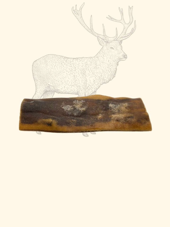 Peaux de cerf