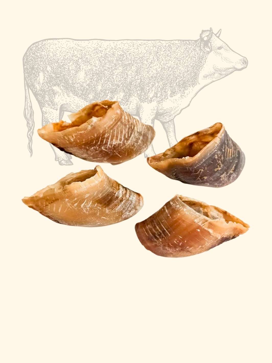 Sabot de bœuf