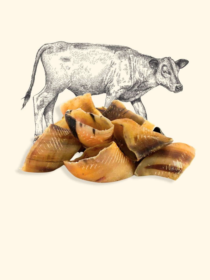 Sabot de veau chien